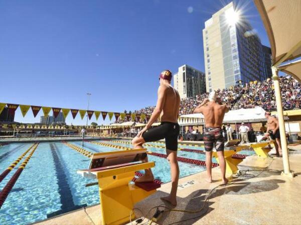 Mens Swimming