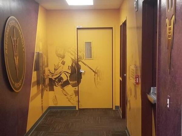hockey graphics