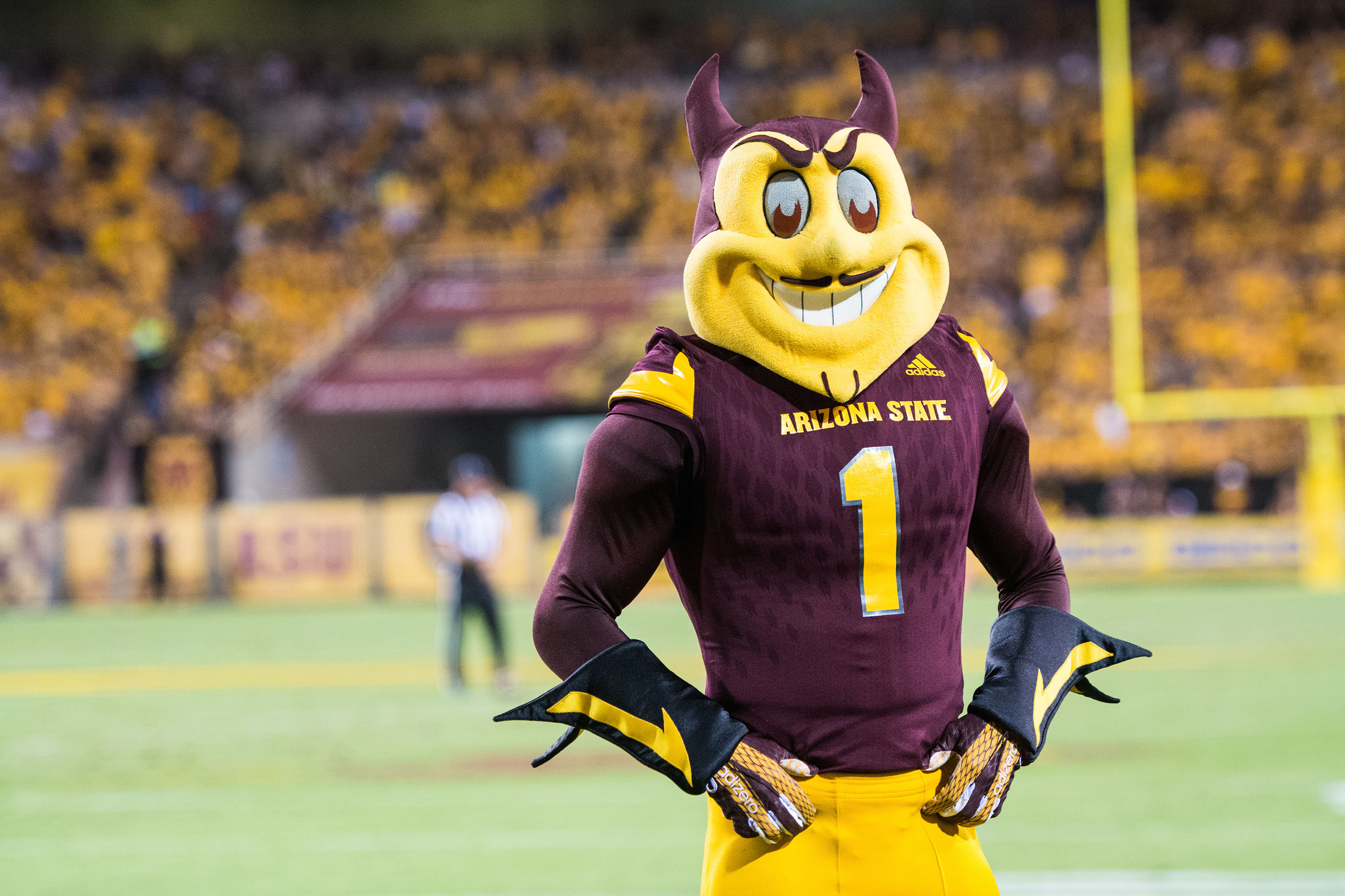 Sparky on football field.